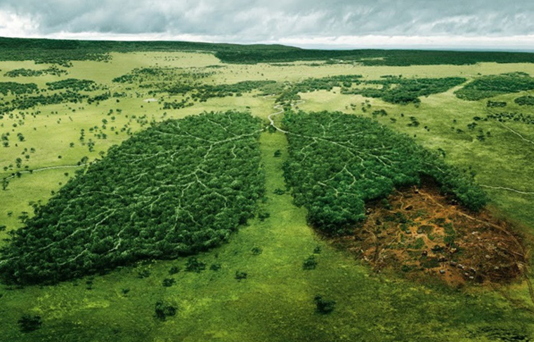 La Huella Ecol Gica Clave Para Descifrar El Efecto De Las Actividades Humanas En El Planeta