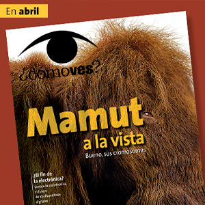 comoves-gaceta-abril2025-300x300-1